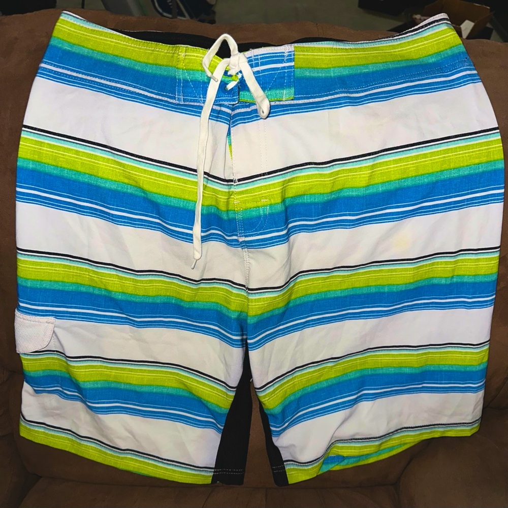 Subculture Men’s Striped Blue and Green Swim Shorts